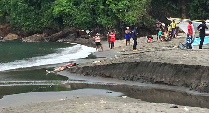 Maxwell Nash died on the beach at Rose Place, Kingstown, after an altercation Saturday morning. (iWN photo)