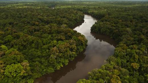 Guyana