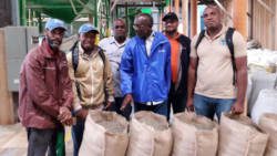 Technicians from Dominica and St. Vincent and the Grenadines during a visit to Finca Arias in Costa Rica.