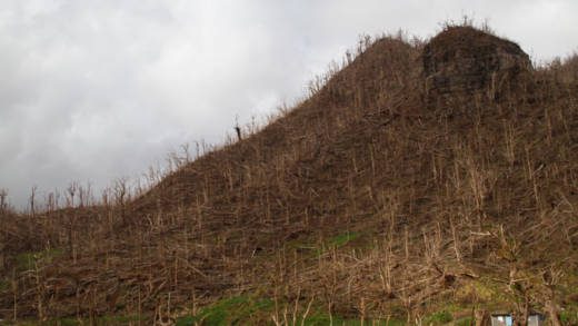 In many parts of Dominica, Hurricane Maria razed the greenery, including agricultural cultivation, from the hillside of the mountainous island. (Photo: Kenton X. Chance/IPS)
