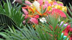 A grave in St. Vincent immediately after a funeral. (iWN file photo)