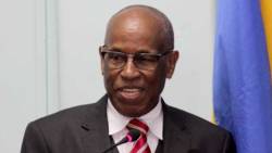 Deputy Prime Minister and Minister of Foreign Affairs, Sir Louis Straker. (iWN file photo)