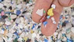 Microplastics