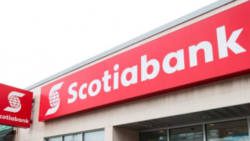 Scotia bank