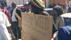 Rastas protest outside Parliament on Monday. (iWN photo)