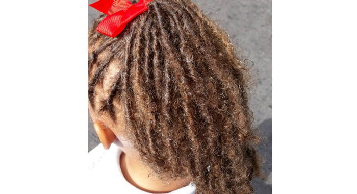 A photo of the child's dreadlocks, as supplied by her mother.
