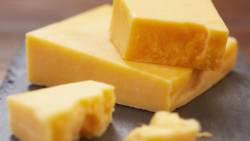 Cheese