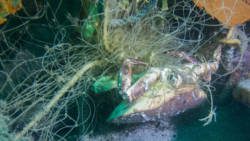 Ghost fishing