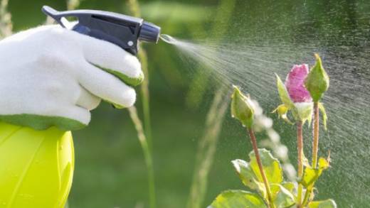 Herbicide