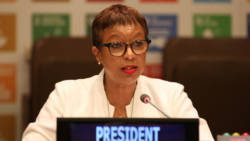 SVG's UN ambassador, I. Rhonda King. (Internet photo)