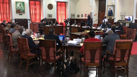 The Vincentian Parliament in session in April 2019. (iWN photo)