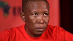Julius Malema, the radical leader of South Africa's Economic Freedom Fighters. (Image via Twitter: Economic Freedom Fighters @EFFSouthAfrica)