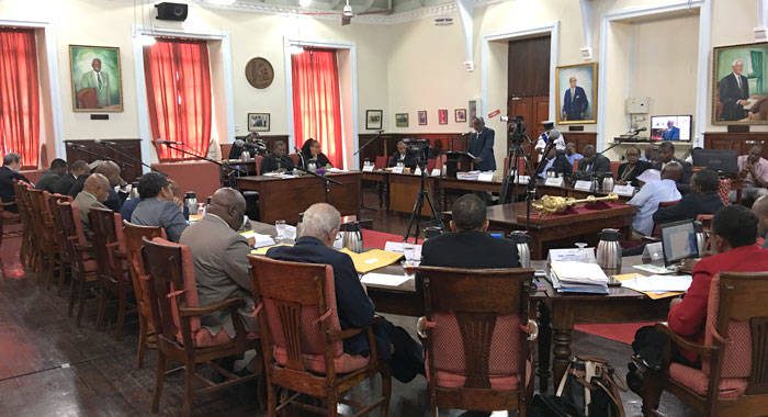 The Vincentian Parliament in session on April 1, 2019. (iWN photo)