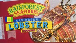 Rain forest seafoods 2