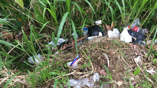 Garbage at the side of the road near Table Rock in Vermont last month. (iWN photo)