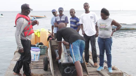 A fisherman lands a catch in Calliaqua on June 10. (iWN photo)