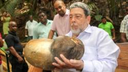 (Photo: Seychelles Nation)