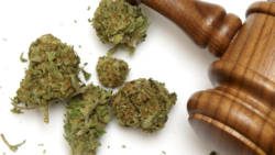 marijuana