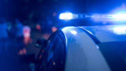 Vehicle strikes pedestrian