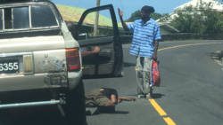 The man was injured after he was allegedly struck by this motor vehicle. (iWN photo)