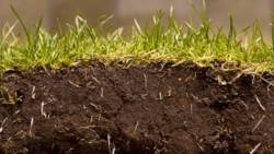 soil