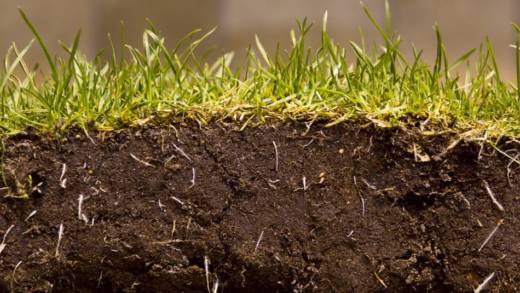 soil