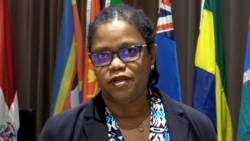 Programme manager for Culture and Community Development at the CARICOM Secretariat, Hilary Brown. (CMC photo)