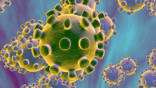 Corona virus