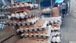 Eggs on sale in Kingstown. (iWN file photo)