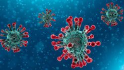 Coronavirus