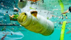 Ocean plastic 2