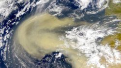 An internet image of Saharan dust moving across the Atlantic Ocean. 