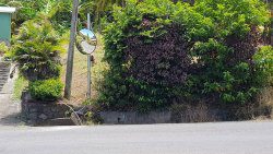 Traffic Mirror