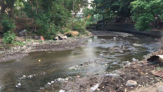 Buccament River 2