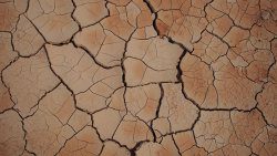 Drought