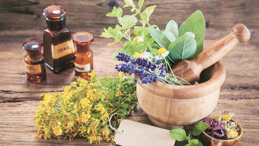 Plant based medicines
