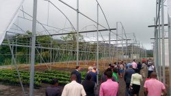 EU-funded greenhouse park in Montreal, St. Vincent.