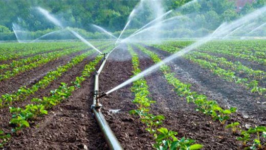 Irrigation