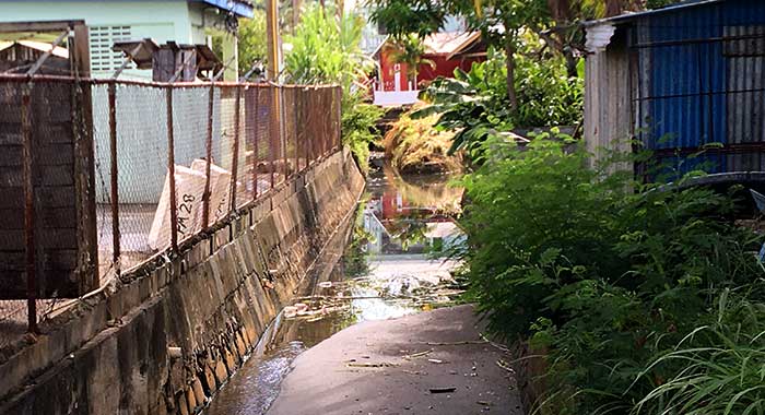 Even after two persons had died of dengue, this  waterway near the seashore in Calliaqua., like many across the country, remained clogged in late September. (iWN photo)