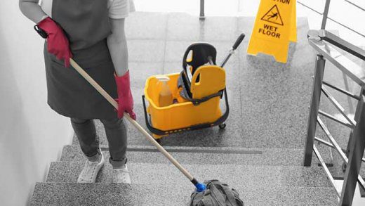 Janitors