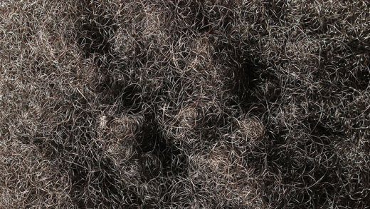An internet photo of hair.