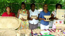 Women and craft training