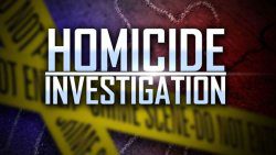 Homicide Investigation 1