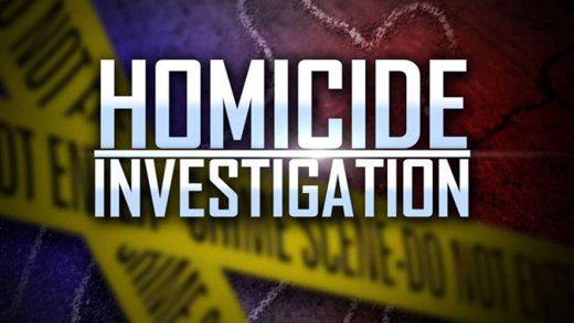 homicide investigation 1
