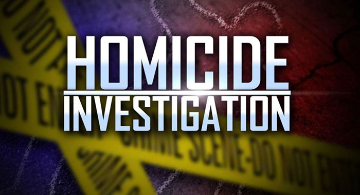 homicide investigation 1