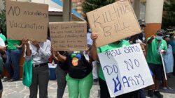 Protesters outside Parliament, on Thursday, register their objection to proposed changes to the Public Health Act. (iWN photo)