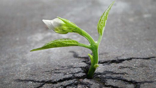 Hope