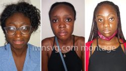 The three medical students, from left: Ruth Omachi, Simisla Babatunde, and Nafisa Nayhaya.
