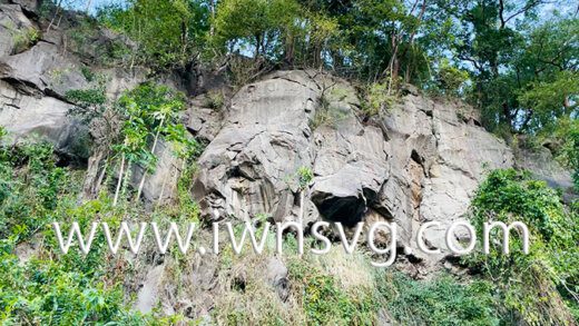 A section of the rockface in Richmond, where the quarry is to be built. 