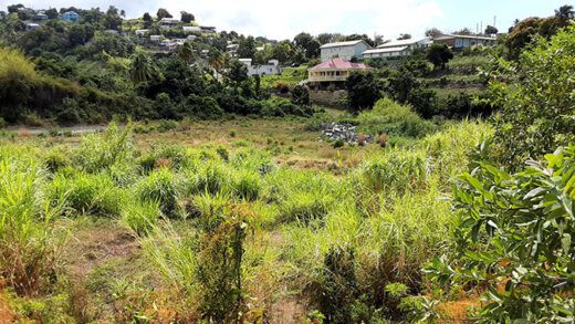 Troumaca field